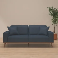 Ava Sofa with 2 Pillows