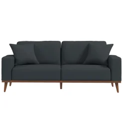 Ava Sofa with 2 Pillows