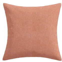 20" Meteor Coral Outdoor Pillow