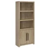Perry Bookcase with doors