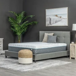 Pro Hybrid Firm California King Mattress