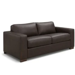 Quinn Leather Full Sleeper Sofa & Mattress