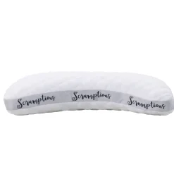 Scrumptious Pillow