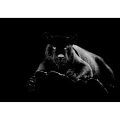 60" x 40" Black Panther Glass Wall Art