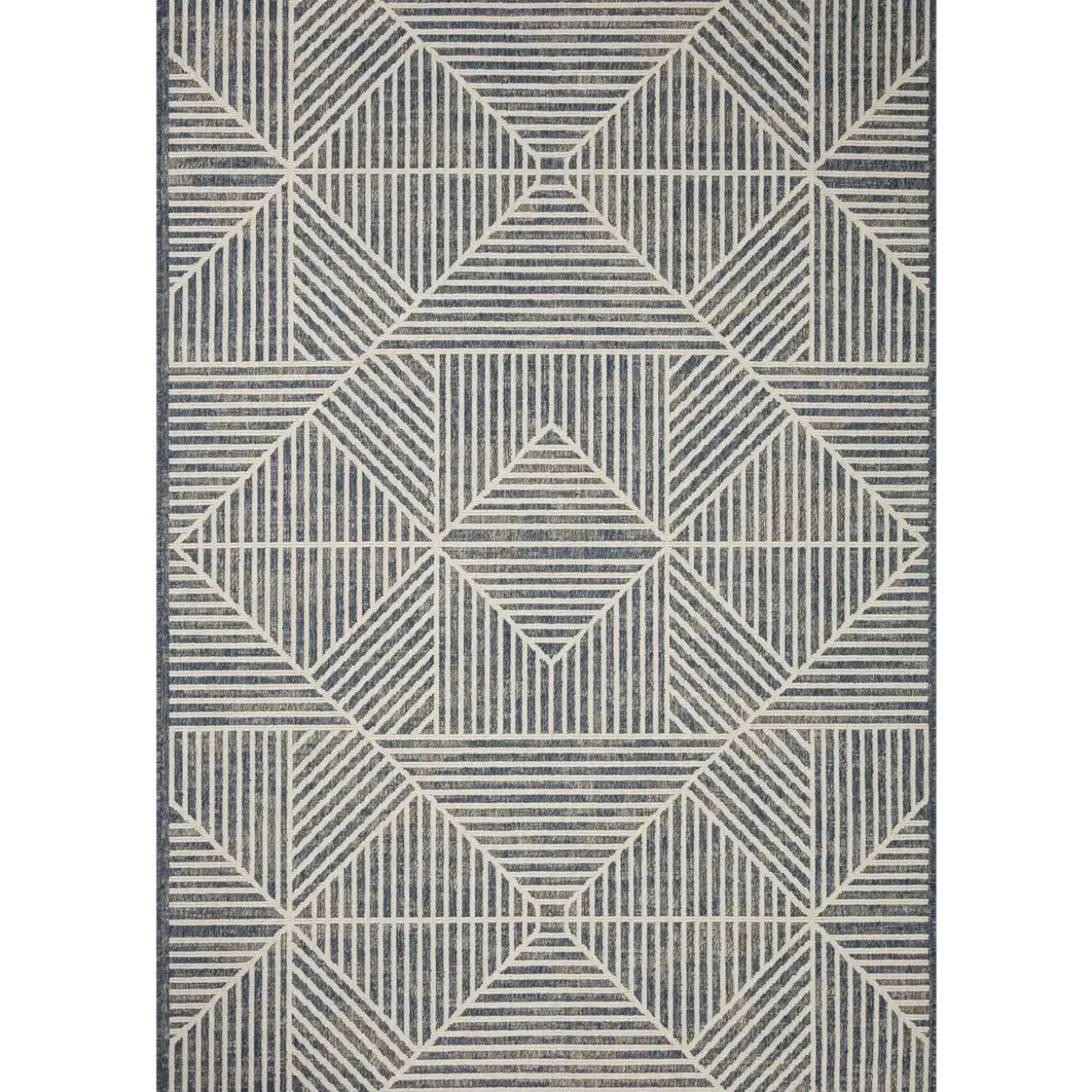 8'x11' Rayner Outdoor Rug